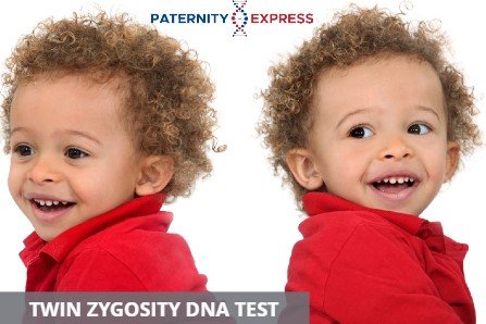 dna test for twins