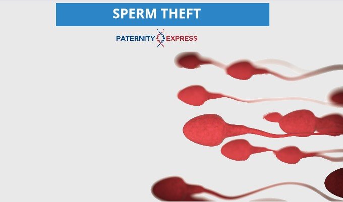 stolen sperm
